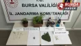Uyuşturucu partisine jandarmadan baskın: 8 gözaltı