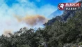 Antalya Konyaaltı'nda ormanlık alanda yangın çıktı.