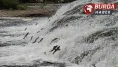 İnci kefallerinin, akarsuya girmesi için ekolojik şartları tamam
