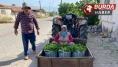 Üzüm hasadı öncesi yaprak kazandırdı