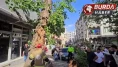 Seyir halindeki araçların üzerine ağaç devrildi: 1 kişi yaralandı
