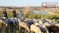 Çobanlık yaparken 2 dil öğrendi, üniversiteyi birincilikle mezun oldu
