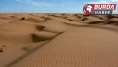 Sahara Çölü’nde 50 kişi susuzluktan hayatını kaybetti