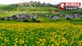 Altınpınar Yaylası ziyaretçilerine eşsiz bir görsel şölen sunuyor