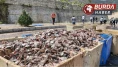 Mersin'de tırın dorsesi patladı, 15 ton balık atığı yola saçıldı