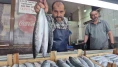 Balık tezgahlarında sezonun favorisi palamut ve hamsi hareketlilik getirdi.