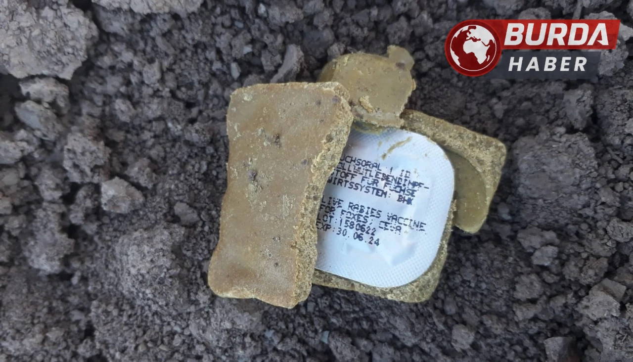 Diyarbakır’ın Bağlar ilçesinde havadan kuduz aşısı bırakıldı.
