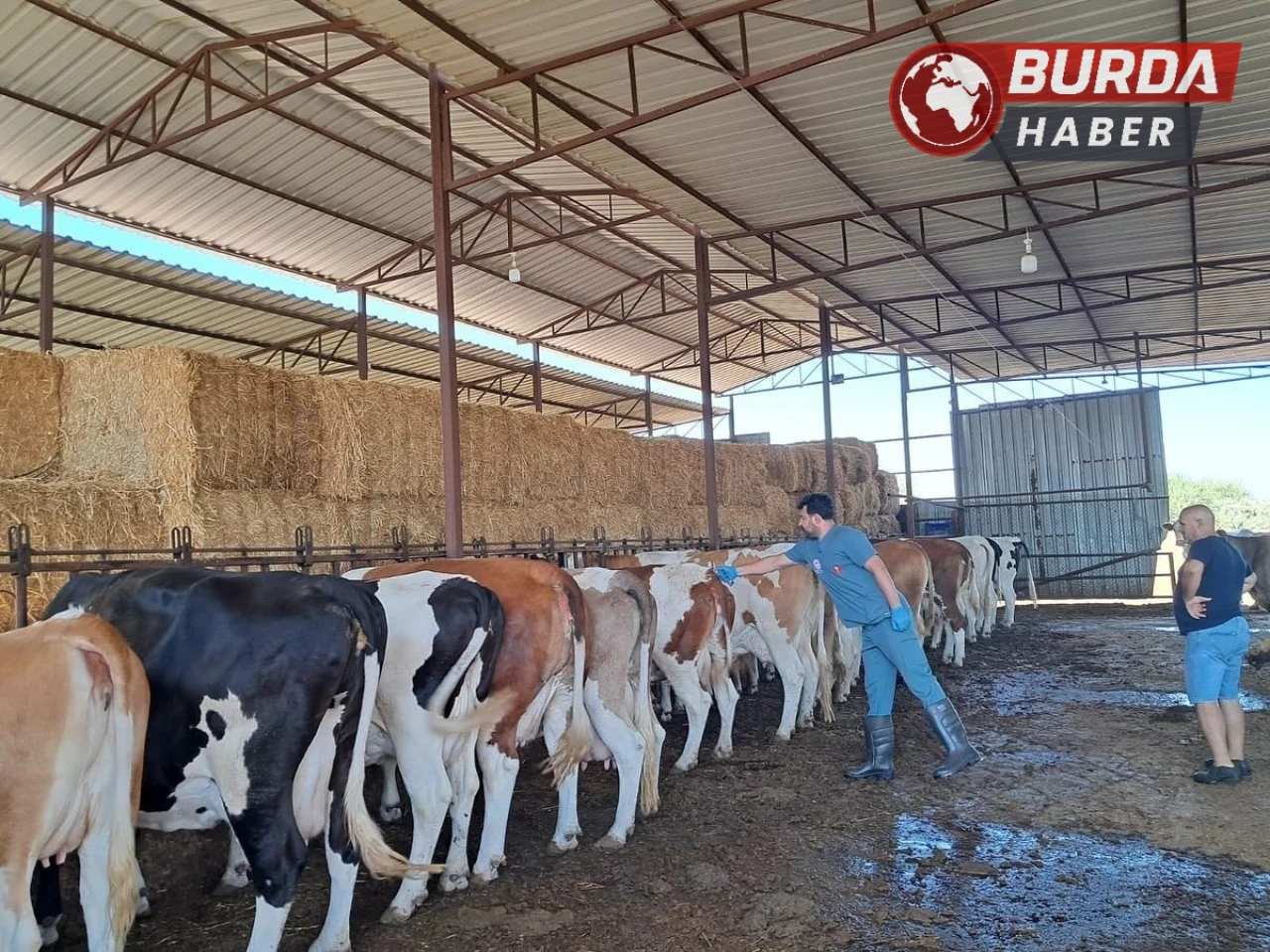 Aydın’ın Nazilli İlçesinde 13 Mahalle Karantinaya Alındı