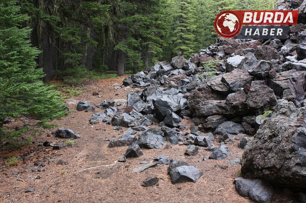 Ordu'da Taş Ocağında Meydana Gelen Göçükte 2 Kişi Enkaz Altında Kaldı