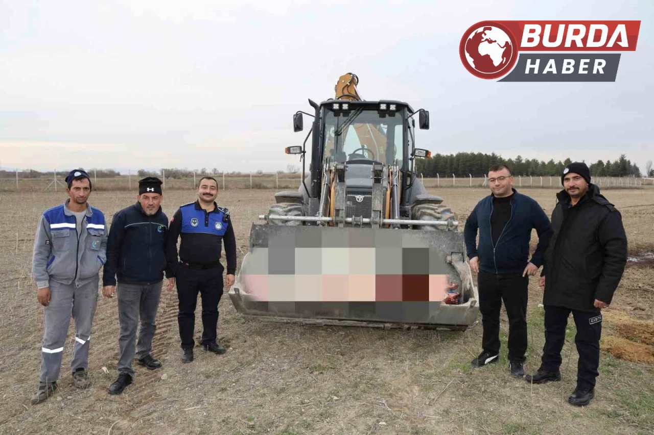 Çifteler'de 215 Kg Kaçak At Eti Ele Geçirildi İşletme Mühürlendi