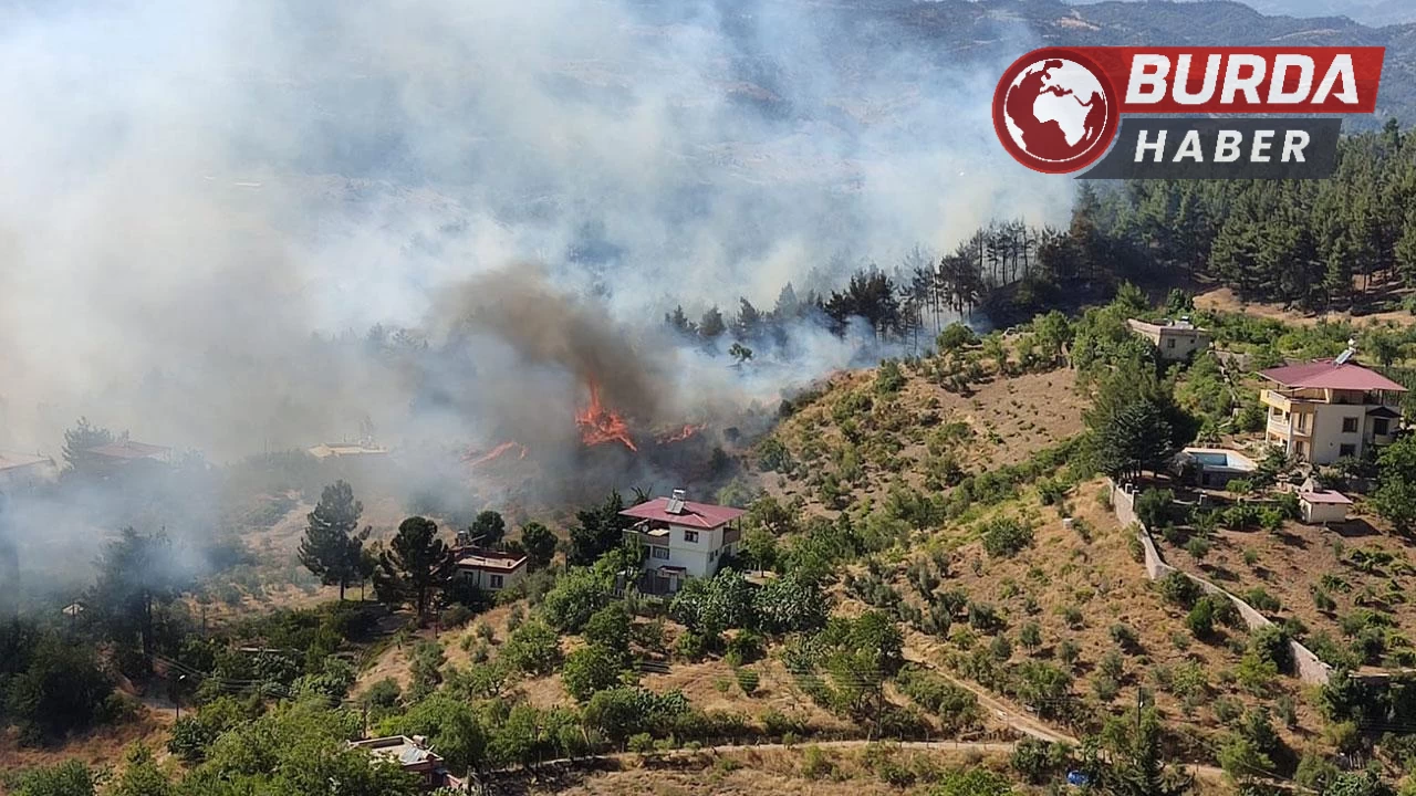 Kahramanmaraş’taki orman yangınında 5,5 hektar zarar gördü.