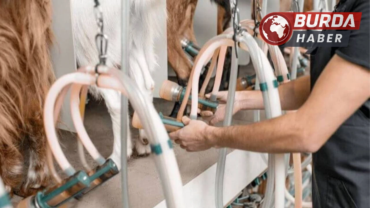 Konya'da süt sağarken elektrik akımına kapılarak hayatını kaybetti.