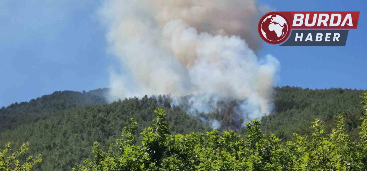 Hatay’daki Amanos dağı eteklerinde orman yangını çıktı.