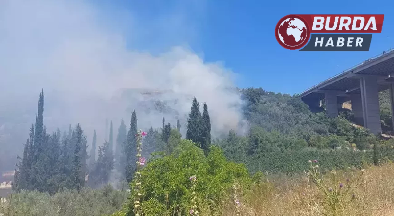 Bursa’da orman yangını köydeki evlere sıçradı...Panik yaşanıyor.