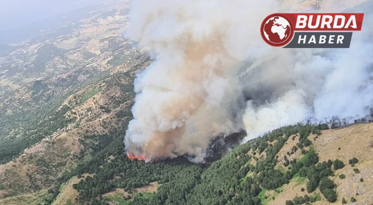 Denizli’deki orman yangınına havadan ve karadan müdahale ediliyor