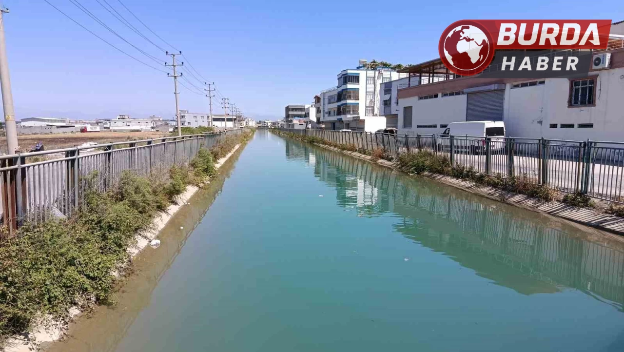 Seyhan’da sulama kanalında erkek cesedi bulundu.