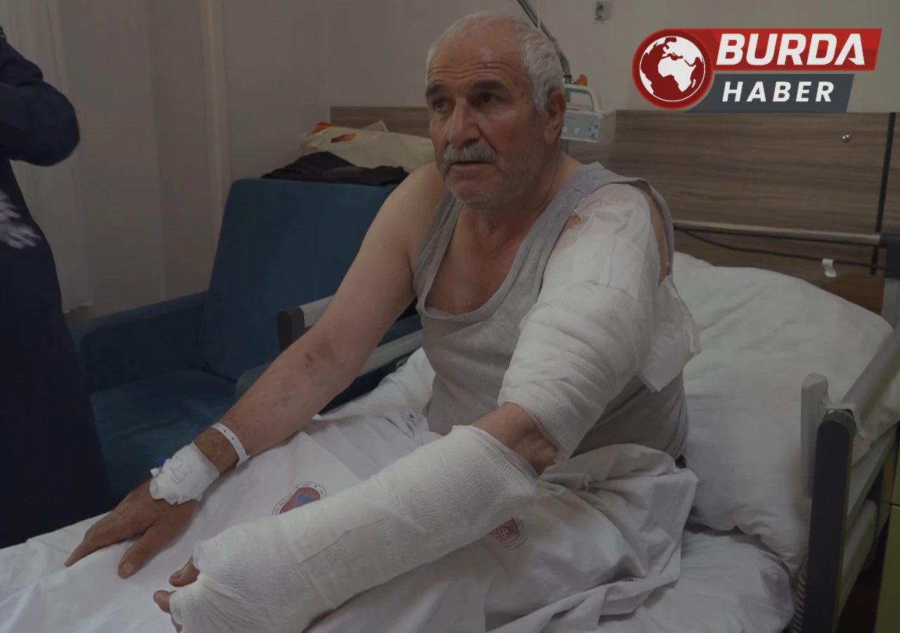 Van'da ot biçen vatandaş kurdun saldırısına uğradı.