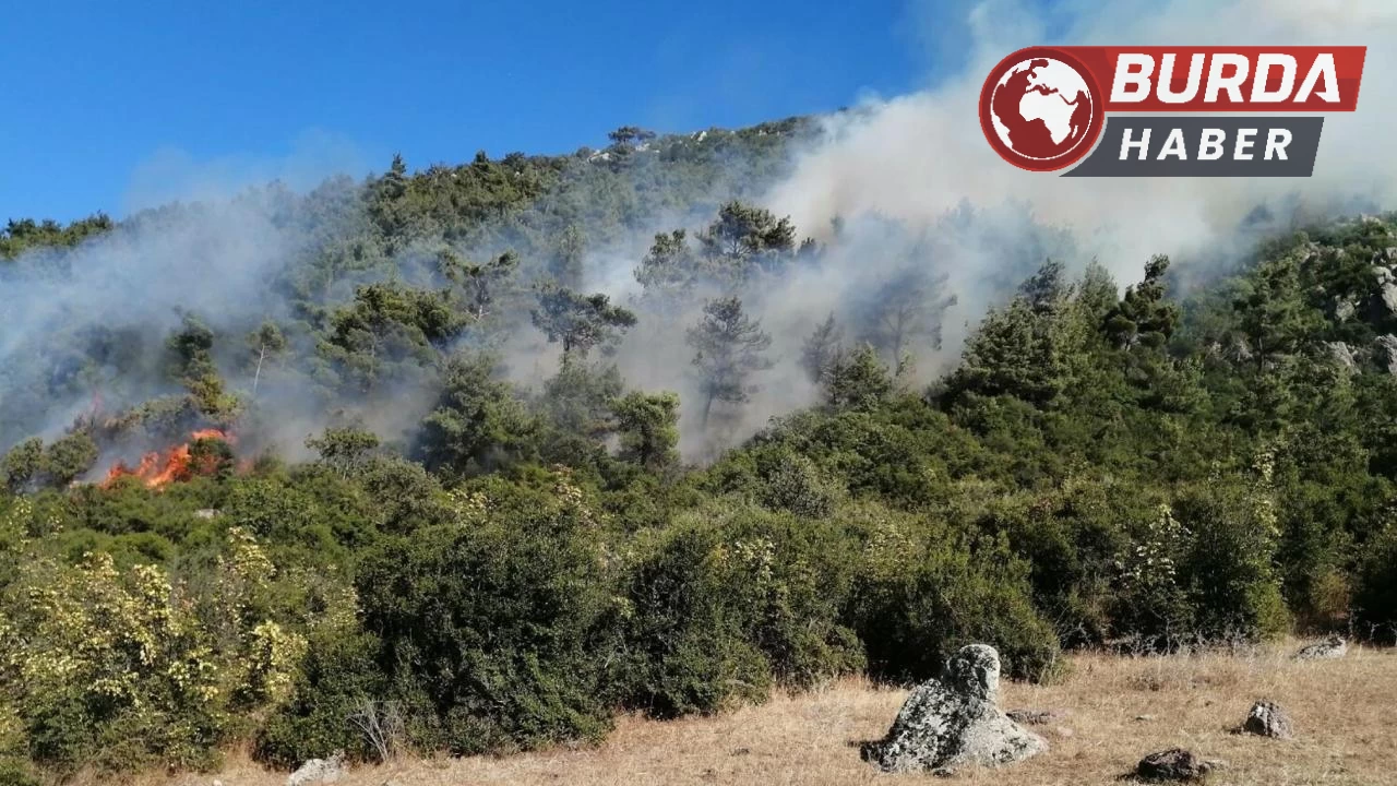 Manisa’daki orman yangınlarına bir yenisi daha eklendi.