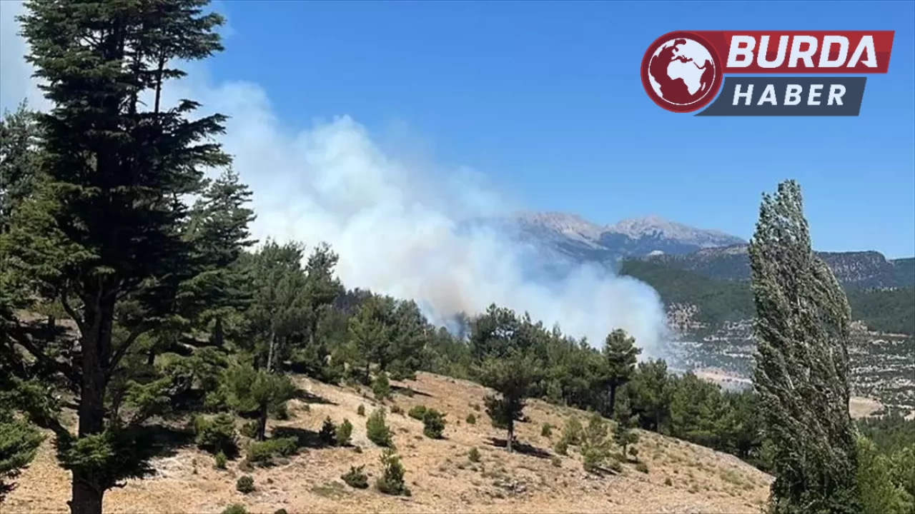 Isparta’nın Sütçüler ilçesinde ormanlık alanda yangın çıktı.