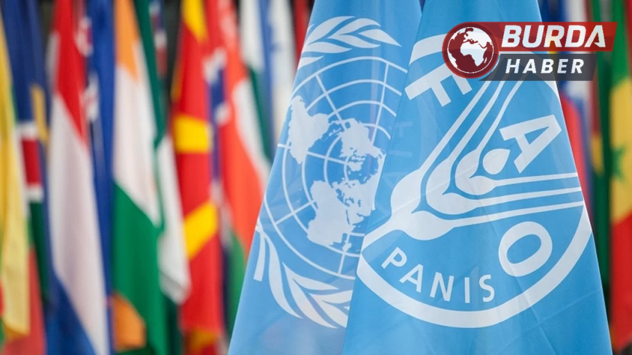 Dışişleri Bakanlığı: "Türkiye FAO Konseyi üyeliğine seçildi"