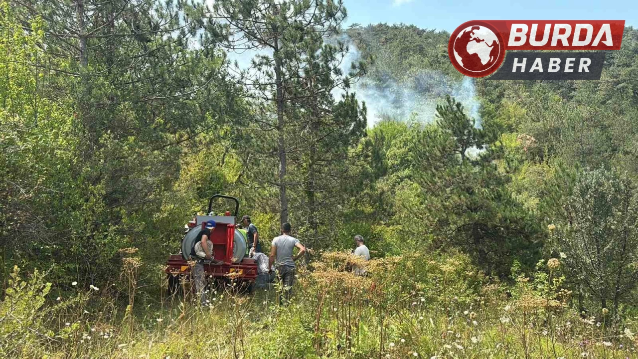 Bolu’da ormanlık alanda çıkan yangına çok sayıda ekip sevk edildi.