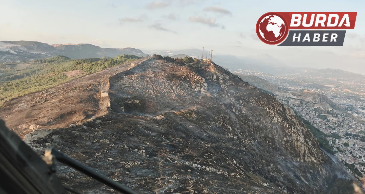 Orman yolunda benzinle yakalandı: Ev hapsine çarptırıldı