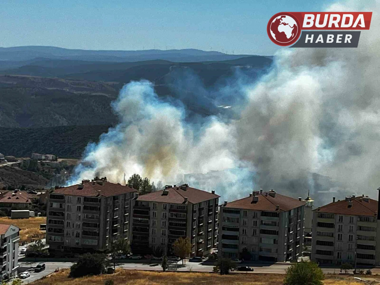 Salça yaparken sıçrayan kıvılcımla 30 dönüm makilik alan kül oldu