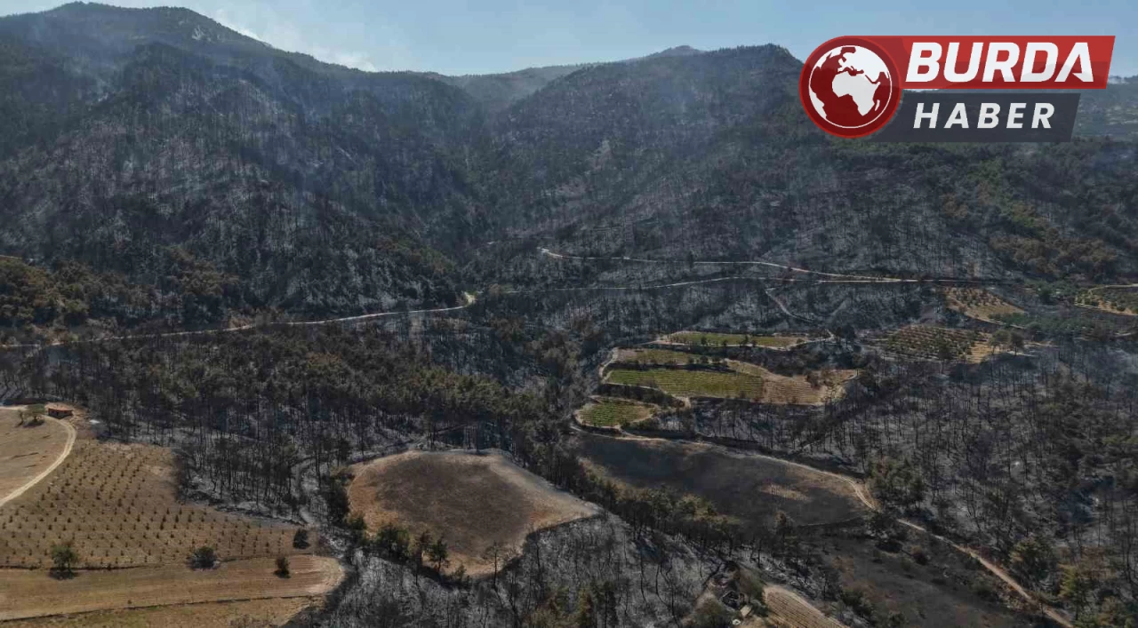 Buldan’da zorlu arazi şartları yangına müdahaleyi güçleştiriyor.