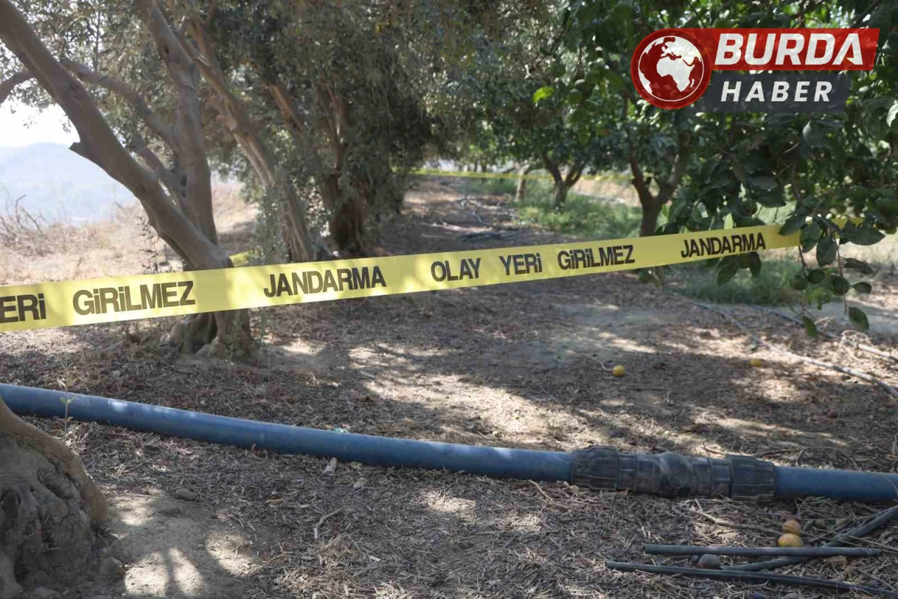 Arkadaşını narenciye bahçesinde satırla doğrayan şahıs yakalandı.