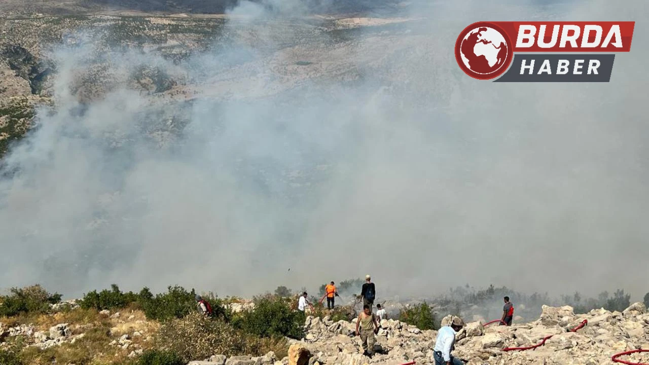 Diyarbakır’daki orman yangınına havadan ve karadan müdahale sürüyor.