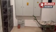 Samsun’da Narkotik Operasyonunda 6 Bin 170 Sentetik Ecza Yakalandı