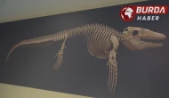 Türk Profesör, Asya’da Keşfedilen İlk ''Deniz Dinozoru''nu Tanıttı