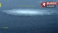Ukraynalı dalgıç, Kuzey Akım patlamalarından dolayı gözaltına alındı.