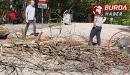 Ağaç Devrildi: Temizlik İşçisi Hayatını Kaybetti