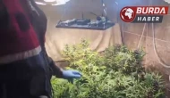 Evini Uyuşturucu İmalathanesine Dönüştüren Kişi Yakalandı