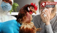 Kuş Gribi Salgınında İspanya ve Almanya'da Endişe Verici Artış