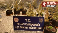 Villada Uyuşturucu Yetiştiren Torbacı ’Sevgililer’ Yakalandı