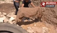 Şanlıurfa’da 11 yıl önceki çocuk cinayetinin sırrı çözüldü!