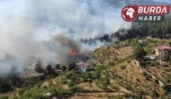 Kahramanmaraş’taki orman yangınında 5,5 hektar zarar gördü.