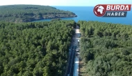 Sinop’taki ormanlara girişler 31 Ekim’e kadar yasaklandı.