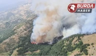 Denizli’deki orman yangınına havadan ve karadan müdahale ediliyor