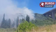 Bursa’da orman yangını köydeki evlere sıçradı...Panik yaşanıyor.