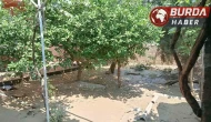 Adana ASKİ’nin içme suyu hattı patladı: Mahalle göle döndü