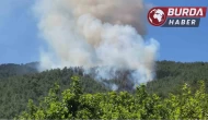 Hatay’daki Amanos dağı eteklerinde orman yangını çıktı.