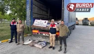 Van’da 22 ton 475 kilogram kaçak avlanmış balık yakalandı.