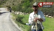 Trabzonlu çoban Gümüşhane’de kene ısırması sonucu öldü.