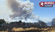 Çanakkale’de tarım arazisinde başlayan yangın ormanlık alana sıçradı