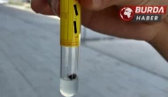 Tokat’ta KKKA şüphesiyle tedavi gören anne hayatını kaybetti.