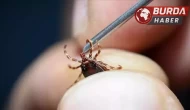Kenenin yapıştığı yaşlı kadın öldü, kentte ölü sayısı 8’e çıktı.