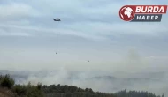 Adana’da orman yangını kontrol altında: 6 kişi gözaltında